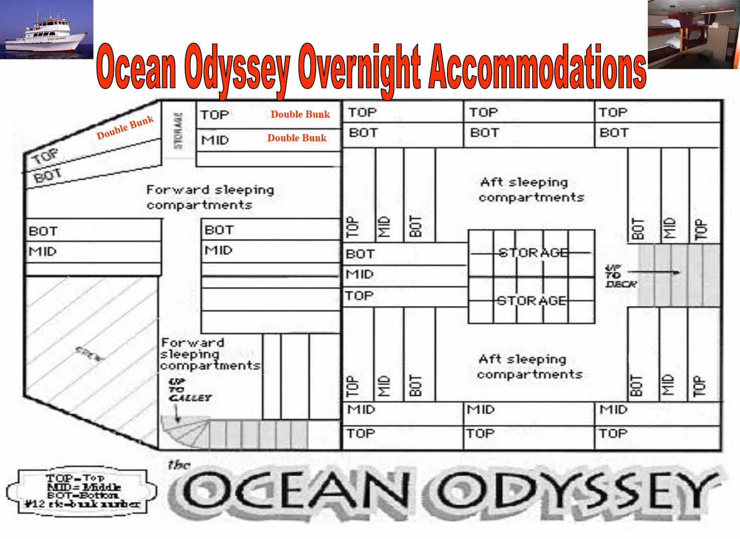 Ocean Odyssey bunk room layout