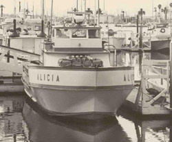The Beginning — the "Alicia"