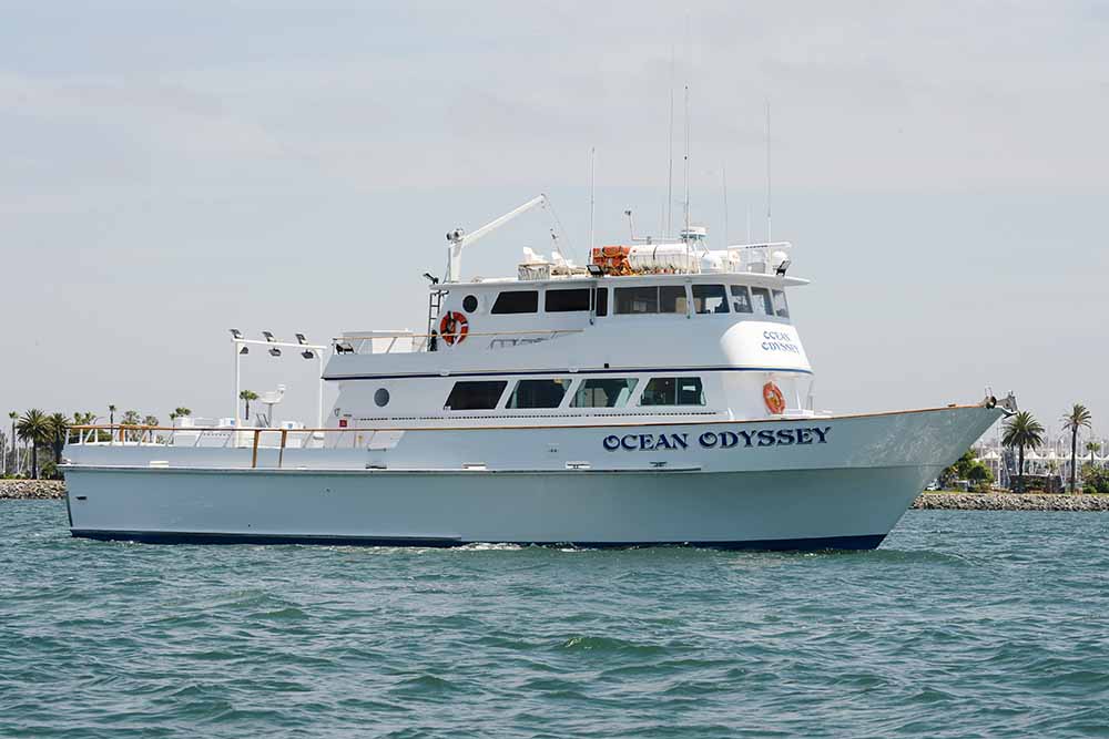 Charter the entire Ocean Odyssey for your group