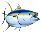 Yellowfin Tuna
